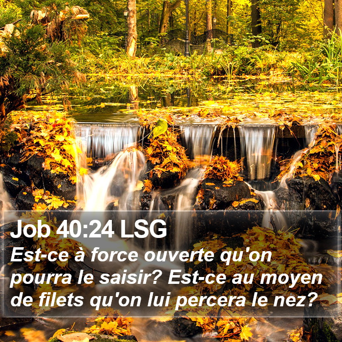 Job 40:24 LSG Bible Study