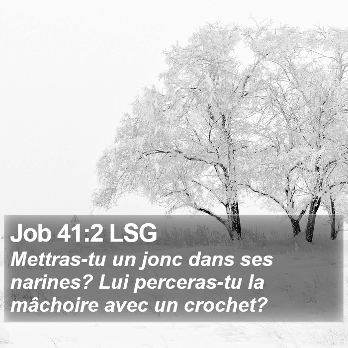 Job 41:2 LSG Bible Study