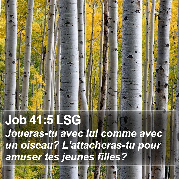 Job 41:5 LSG Bible Study