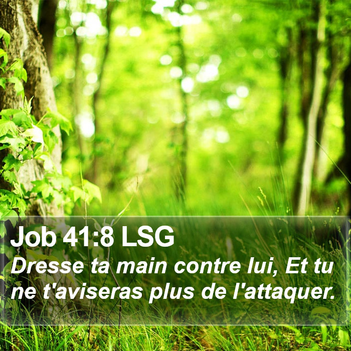 Job 41:8 LSG Bible Study