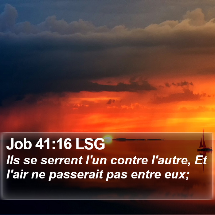 Job 41:16 LSG Bible Study