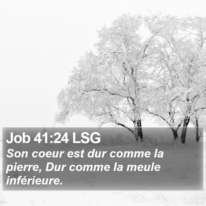 Job 41:24 LSG Bible Study