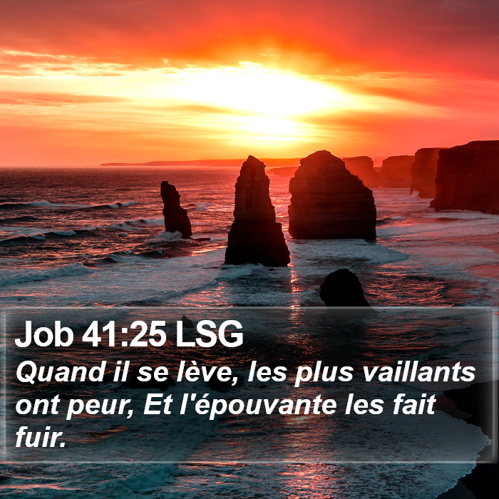 Job 41:25 LSG Bible Study