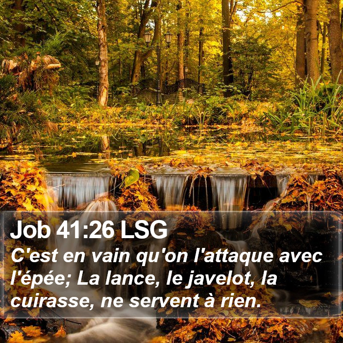 Job 41:26 LSG Bible Study