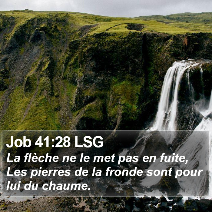 Job 41:28 LSG Bible Study