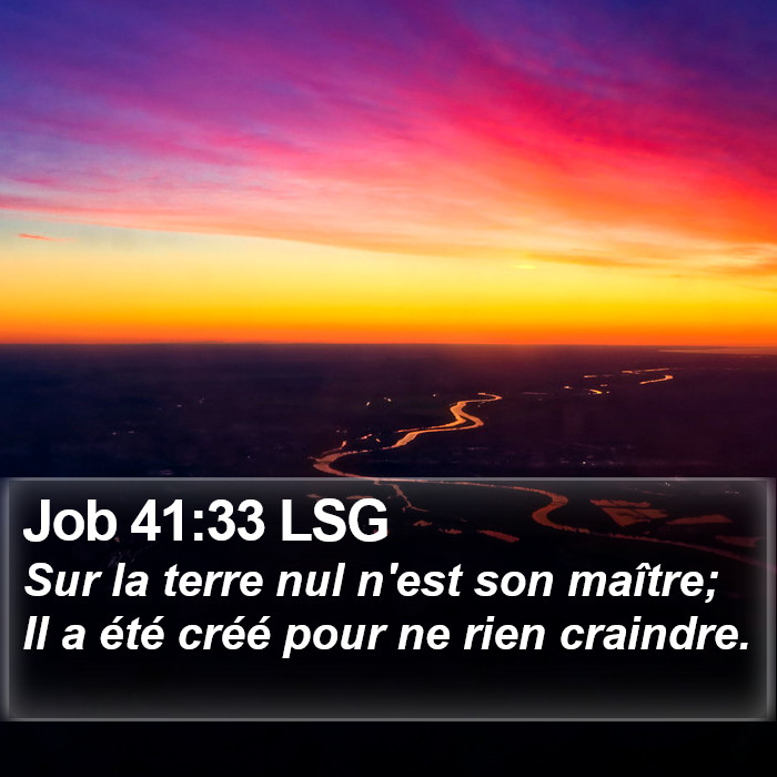 Job 41:33 LSG Bible Study