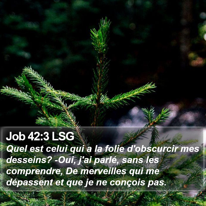 Job 42:3 LSG Bible Study