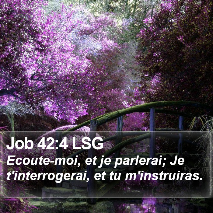 Job 42:4 LSG Bible Study