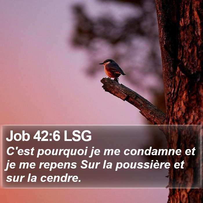 Job 42:6 LSG Bible Study