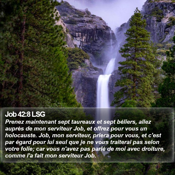 Job 42:8 LSG Bible Study