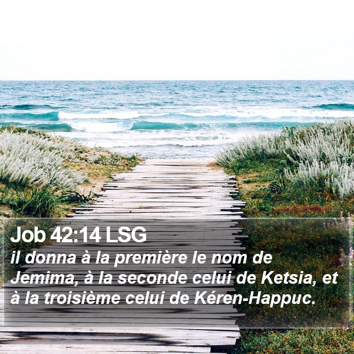 Job 42:14 LSG Bible Study