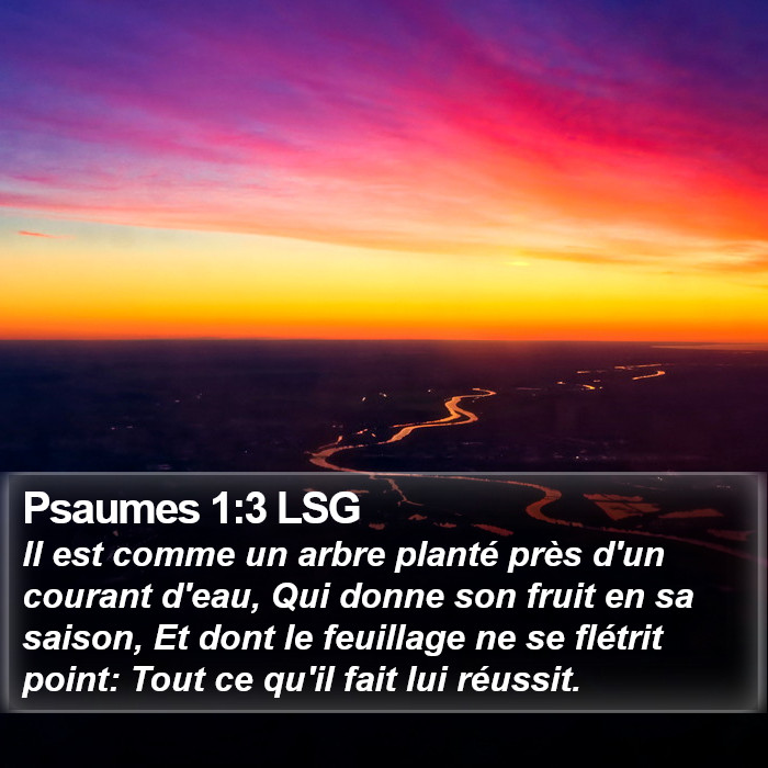 Psaumes 1:3 LSG Bible Study