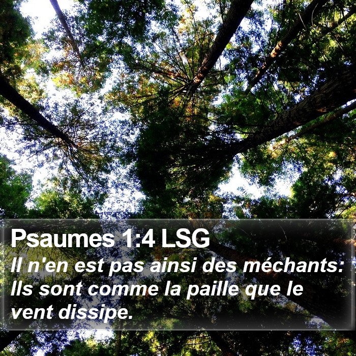 Psaumes 1:4 LSG Bible Study