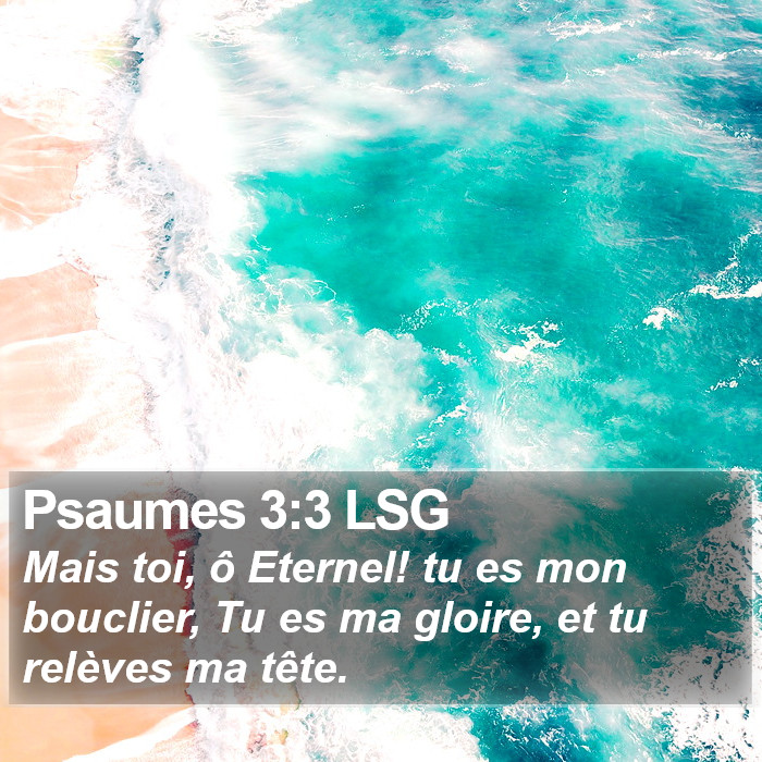 Psaumes 3:3 LSG Bible Study
