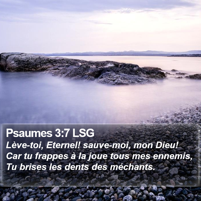 Psaumes 3:7 LSG Bible Study