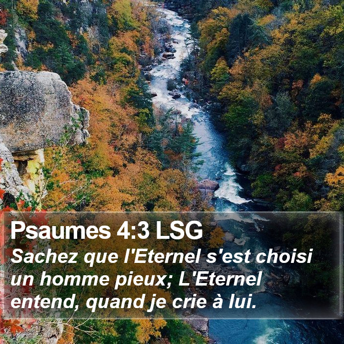 Psaumes 4:3 LSG Bible Study
