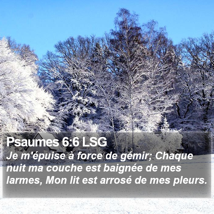 Psaumes 6:6 LSG Bible Study