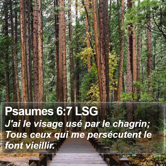 Psaumes 6:7 LSG Bible Study