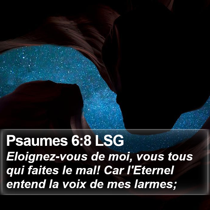 Psaumes 6:8 LSG Bible Study