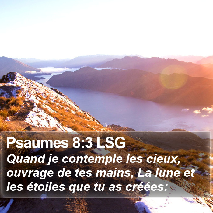 Psaumes 8:3 LSG Bible Study