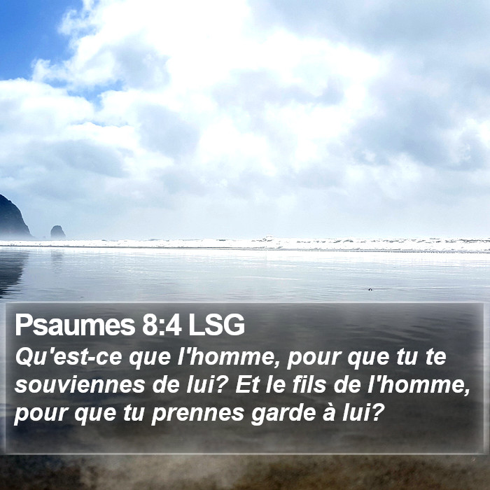 Psaumes 8:4 LSG Bible Study
