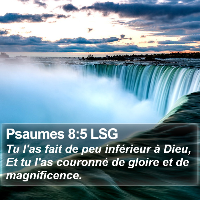 Psaumes 8:5 LSG Bible Study