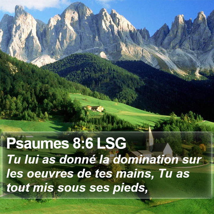 Psaumes 8:6 LSG Bible Study
