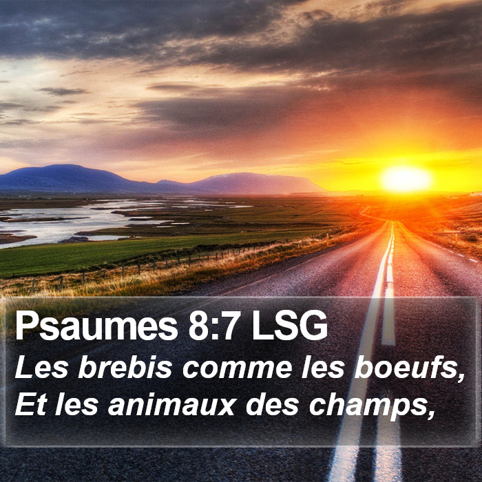 Psaumes 8:7 LSG Bible Study