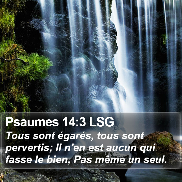 Psaumes 14:3 LSG Bible Study