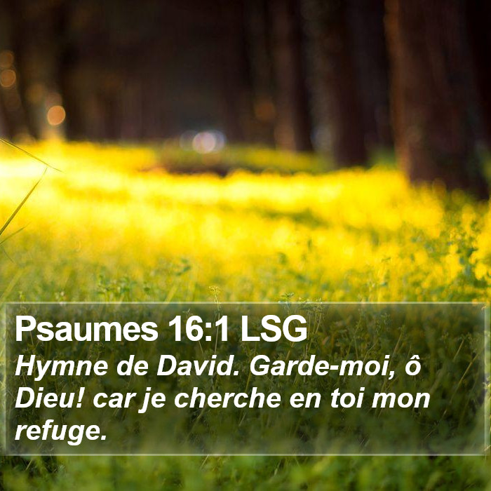 Psaumes 16:1 LSG Bible Study