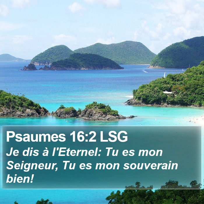 Psaumes 16:2 LSG Bible Study