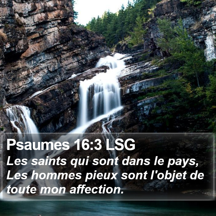 Psaumes 16:3 LSG Bible Study