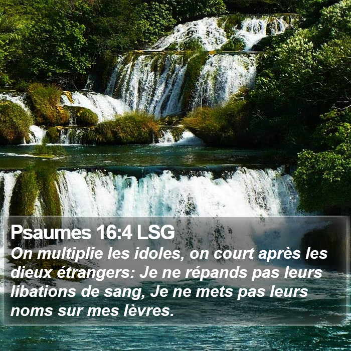 Psaumes 16:4 LSG Bible Study