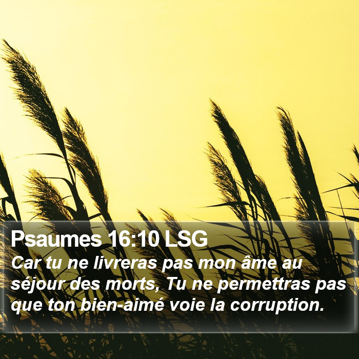 Psaumes 16:10 LSG Bible Study