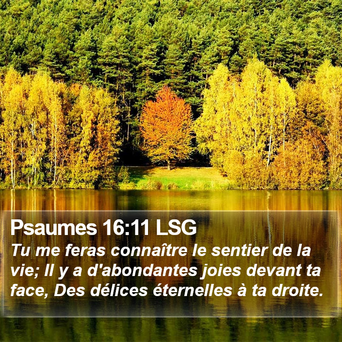 Psaumes 16:11 LSG Bible Study