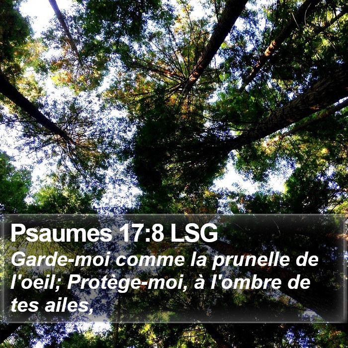 Psaumes 17:8 LSG Bible Study