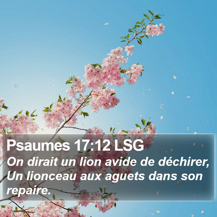 Psaumes 17:12 LSG Bible Study