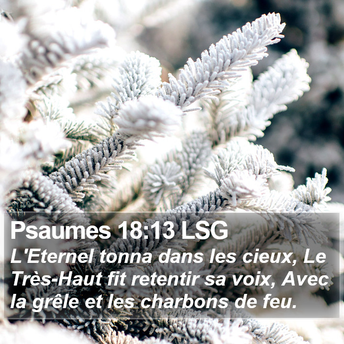 Psaumes 18:13 LSG Bible Study