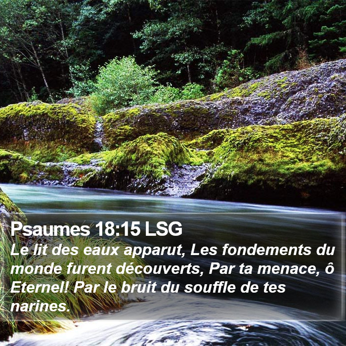 Psaumes 18:15 LSG Bible Study