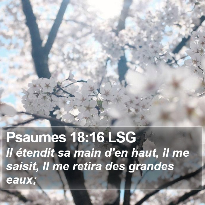 Psaumes 18:16 LSG Bible Study