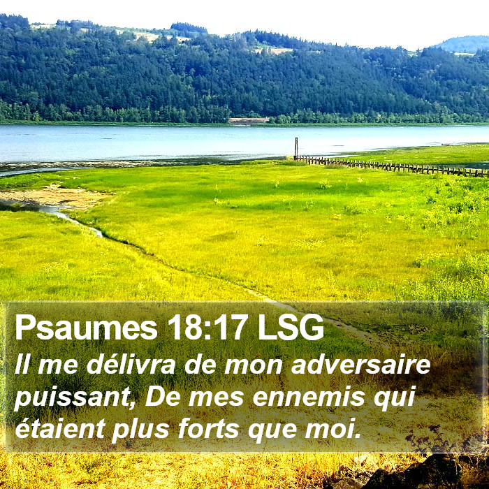 Psaumes 18:17 LSG Bible Study