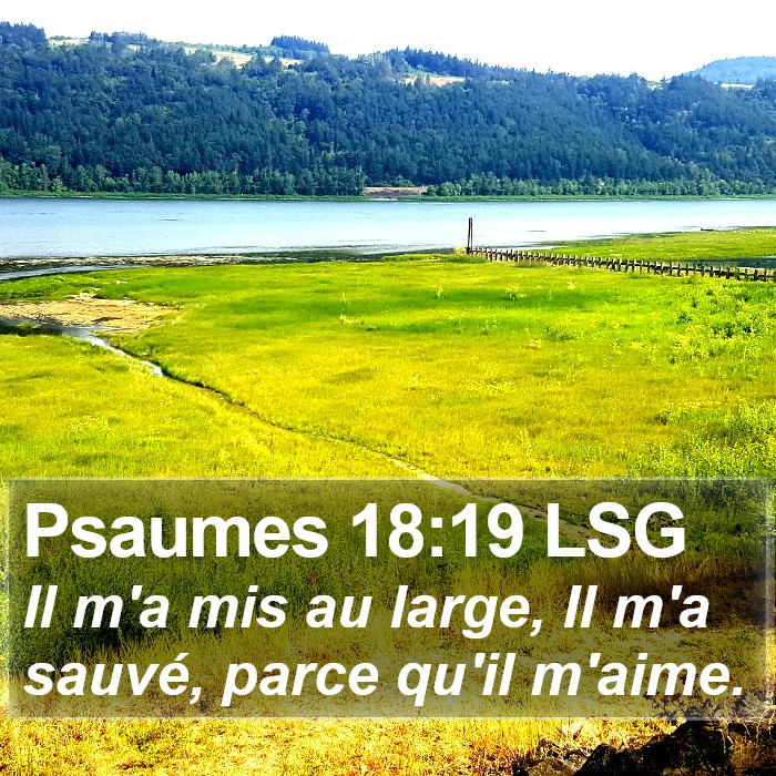 Psaumes 18:19 LSG Bible Study