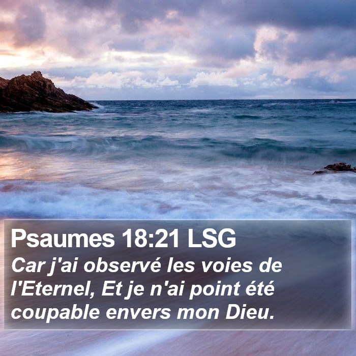 Psaumes 18:21 LSG Bible Study