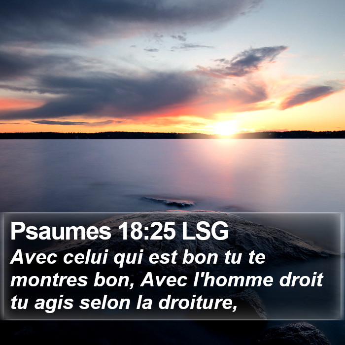 Psaumes 18:25 LSG Bible Study