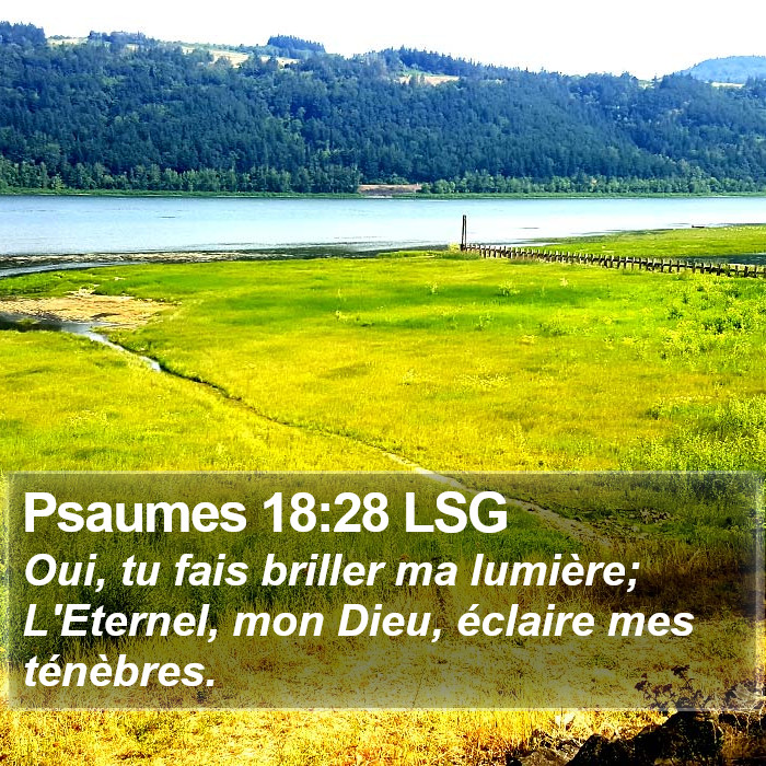 Psaumes 18:28 LSG Bible Study