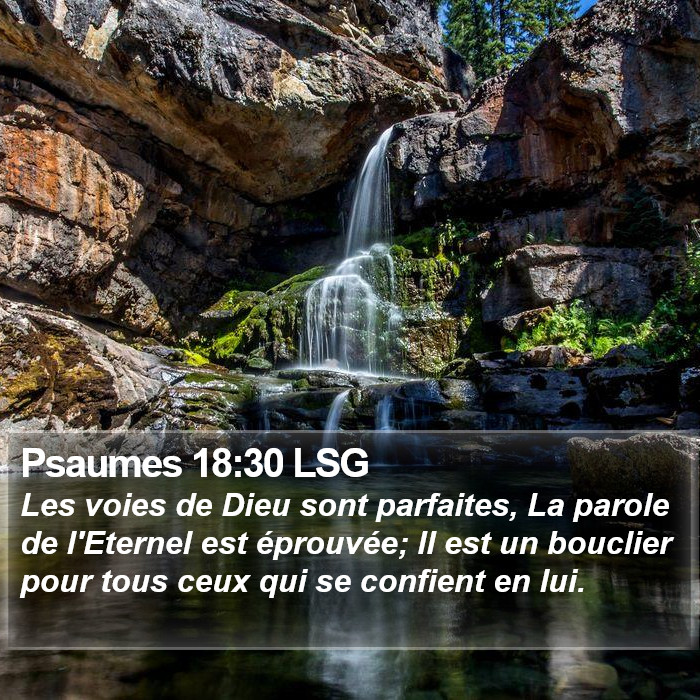 Psaumes 18:30 LSG Bible Study