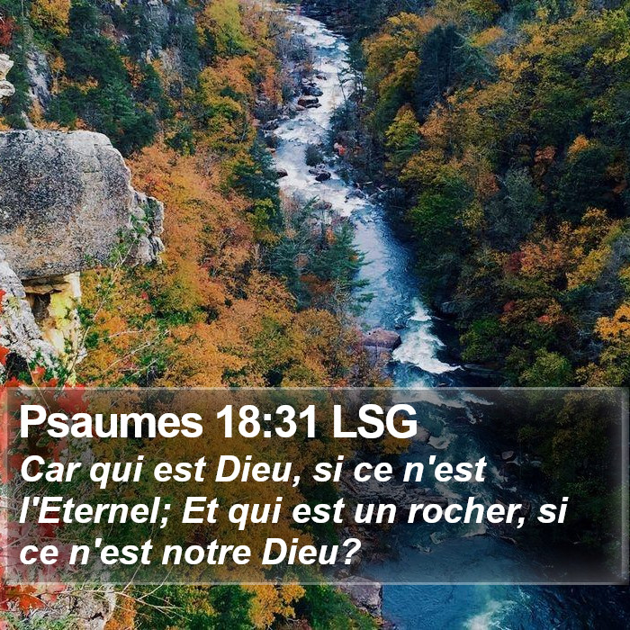 Psaumes 18:31 LSG Bible Study