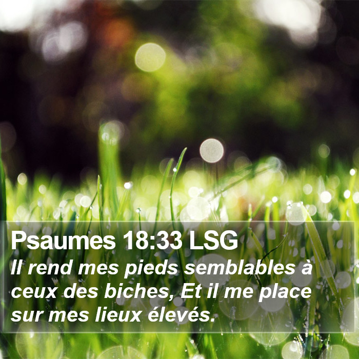 Psaumes 18:33 LSG Bible Study