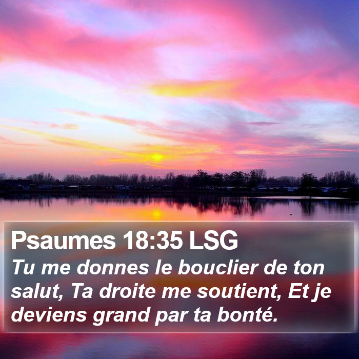 Psaumes 18:35 LSG Bible Study