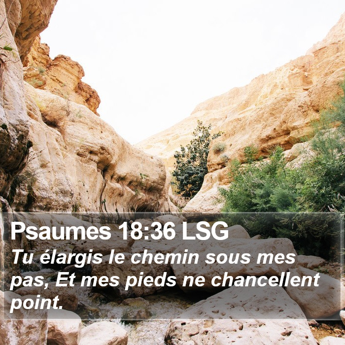 Psaumes 18:36 LSG Bible Study